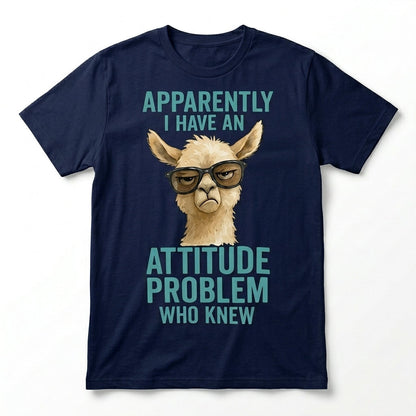 Apparently I have An Attitude Problem Who Knew